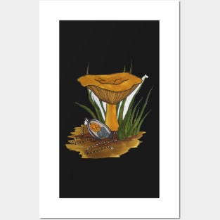 Lost Trinket & Fall Fungi Posters and Art